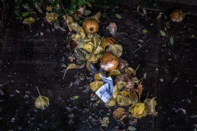 Organic Waste Dubai UAE